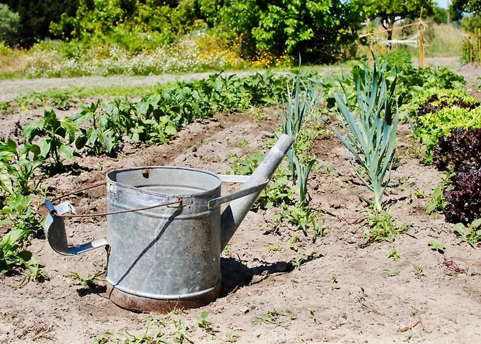 Chitaka\'S Organic Farmhouse In Ribatejo