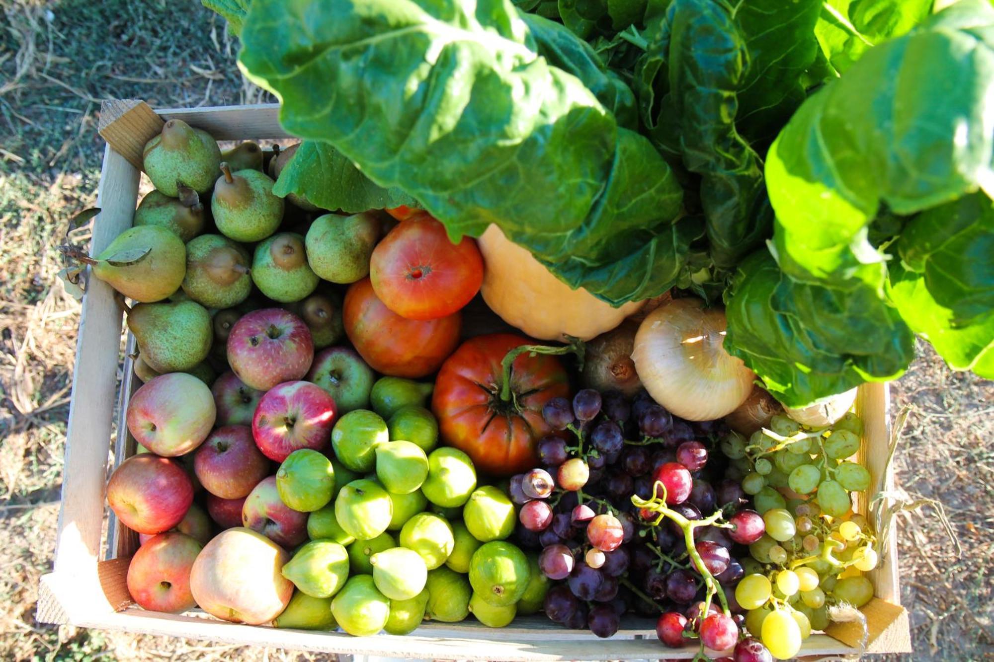 Chitaka's Organic In Ribatejo Appartement
